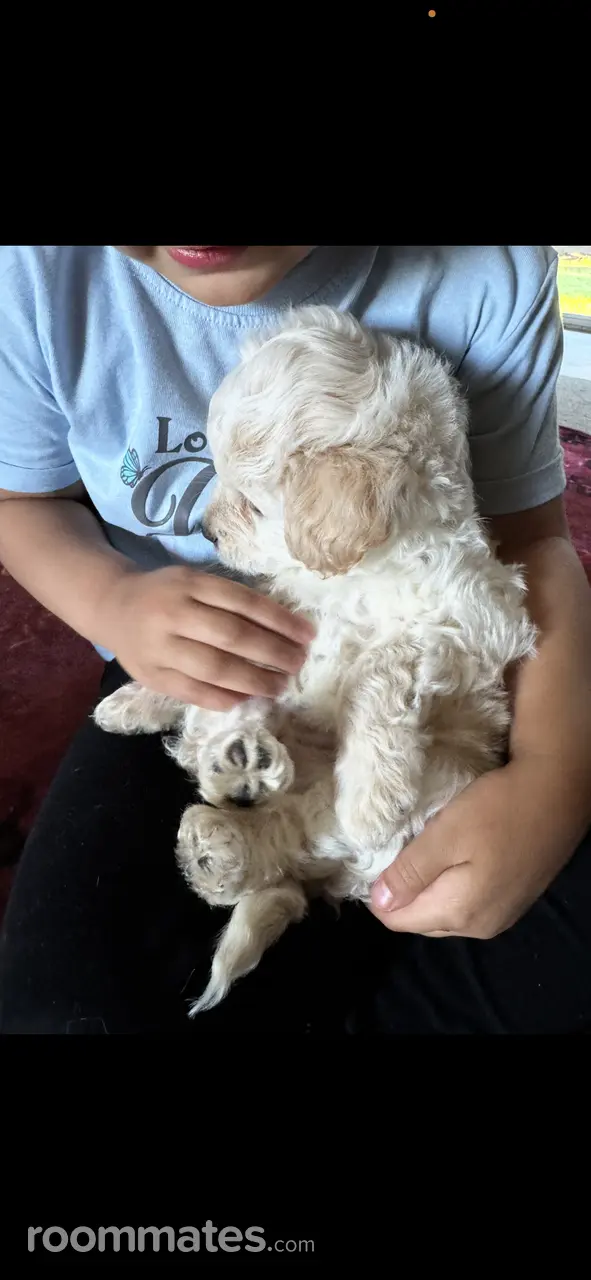 Profile photo 4 of 4