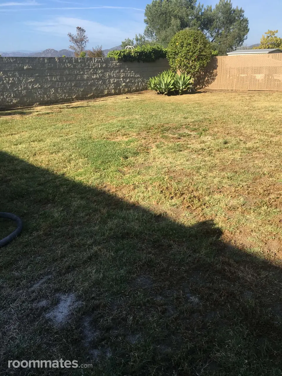 Profile photo 2 of 11