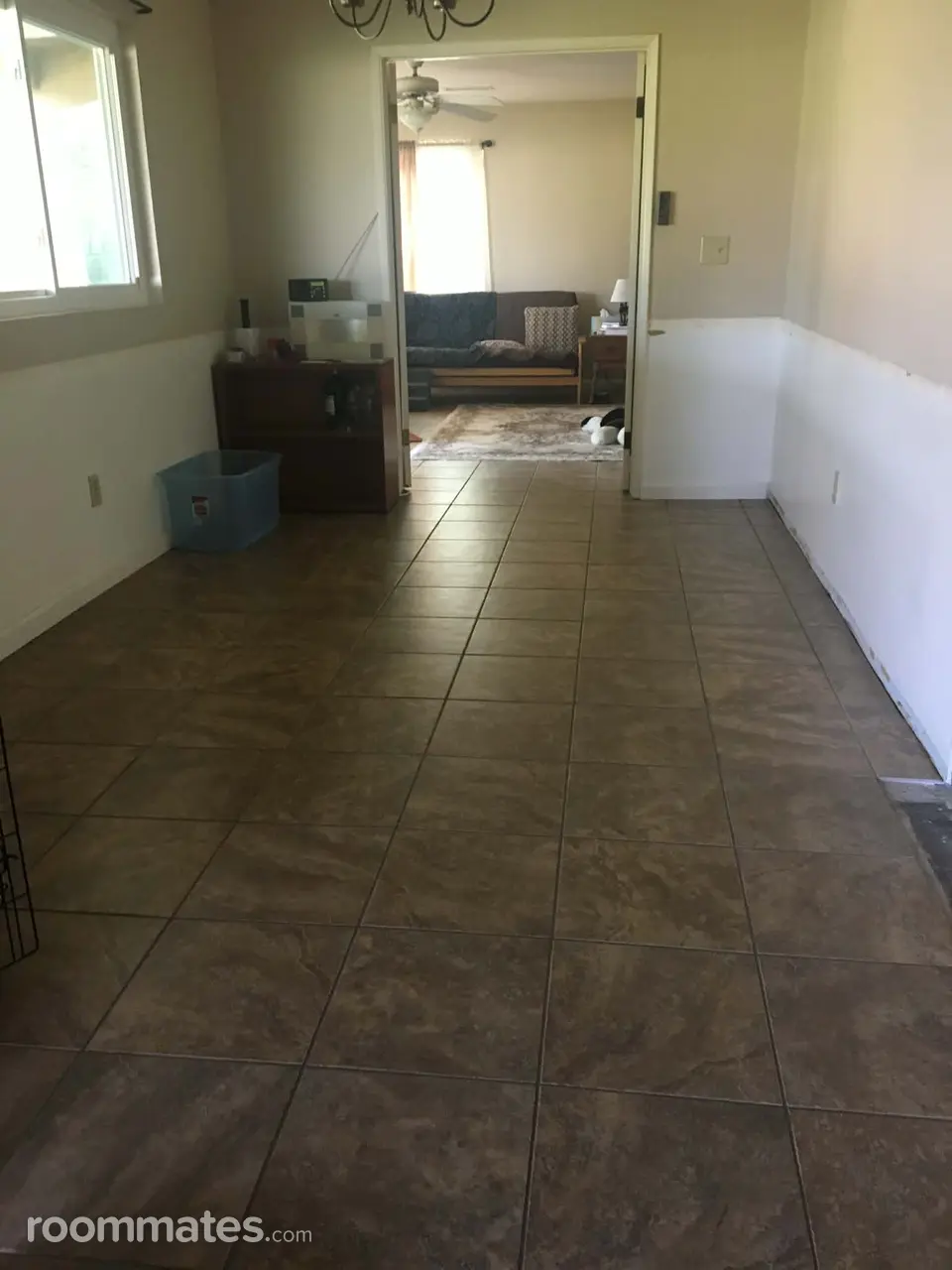 Profile photo 4 of 11