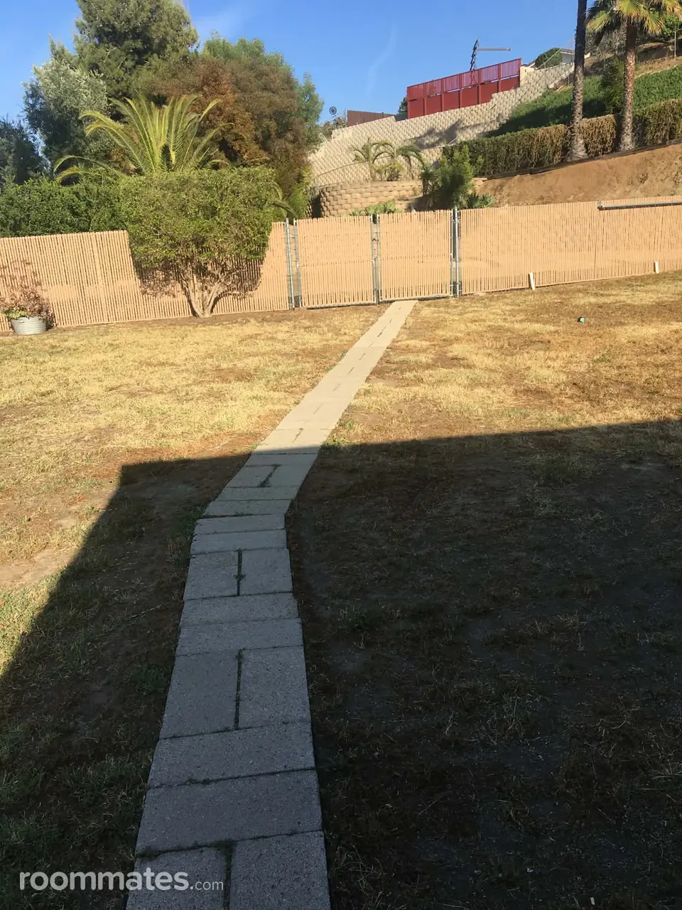 Profile photo 10 of 11