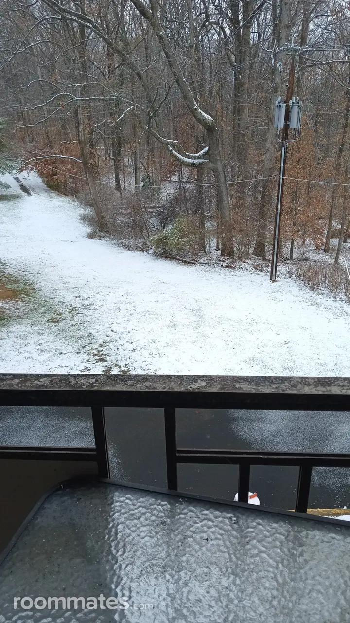 Profile photo 3 of 8