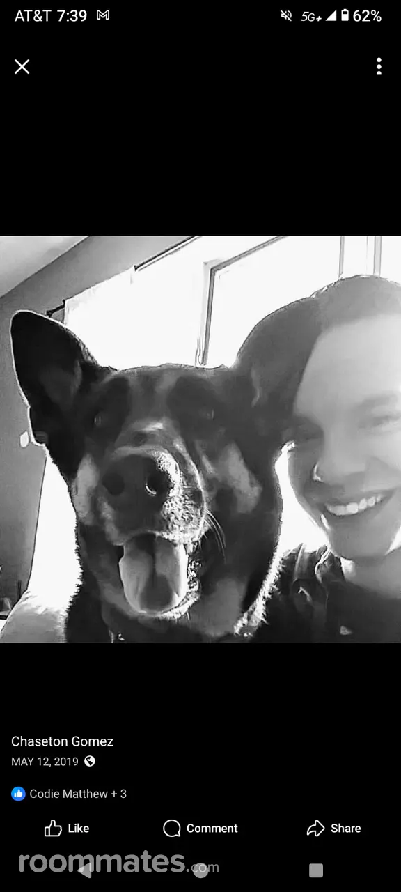 Profile photo 2 of 3