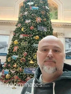 Roommate looking Sandusky, OH, $600