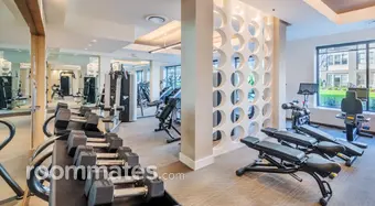 Room for rent in Raleigh, NC $1000, apartment