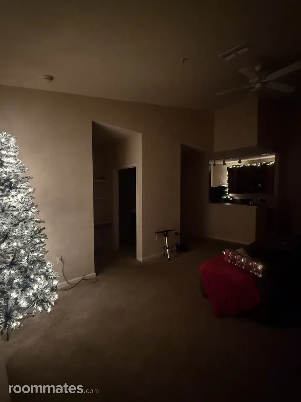 Profile photo 1 of 3