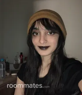 Roommate looking Houston, TX, $900