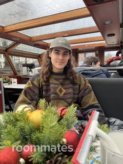 Roommate looking Greenville, SC, $1000