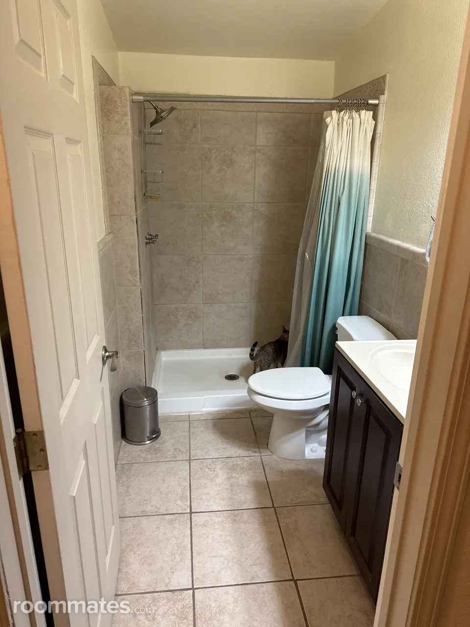 Profile photo 5 of 11