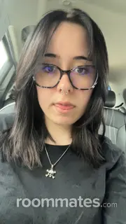 Roommate looking League City, TX, $600