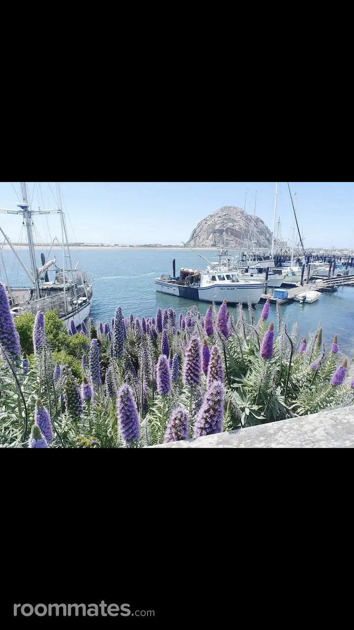 Profile photo 9 of 13