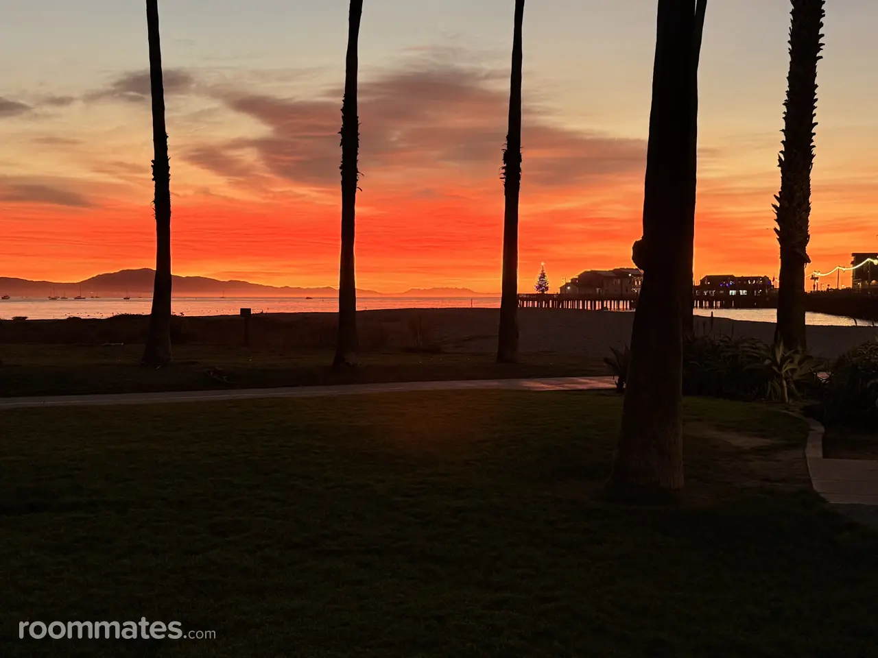 Profile photo 12 of 13