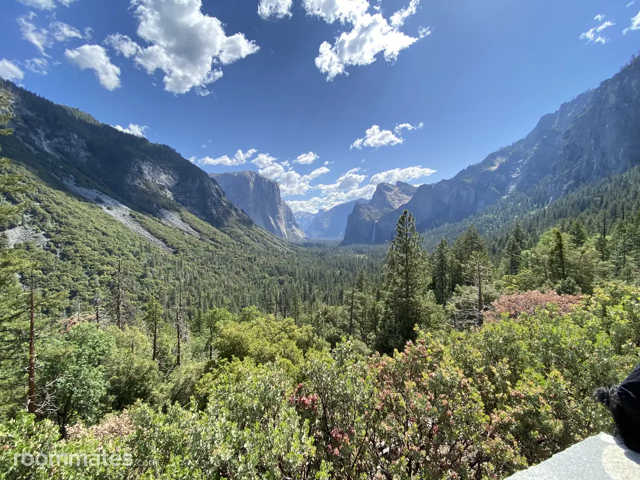 Profile photo 5 of 13