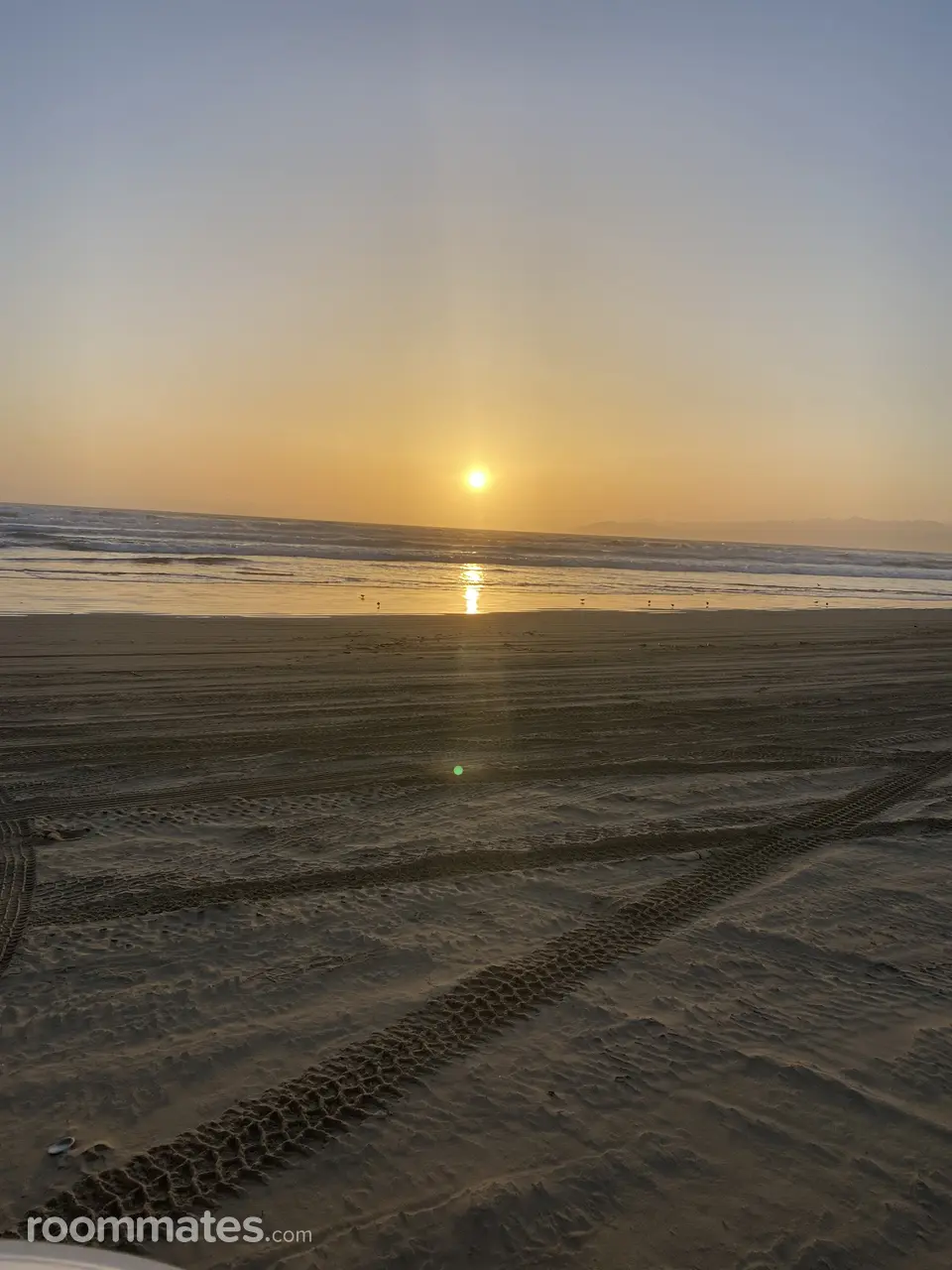 Profile photo 10 of 13