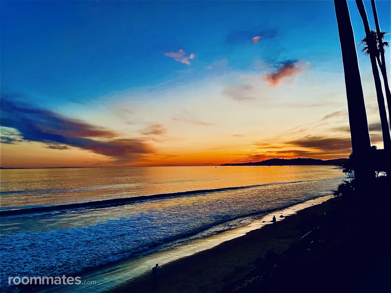 Profile photo 13 of 13