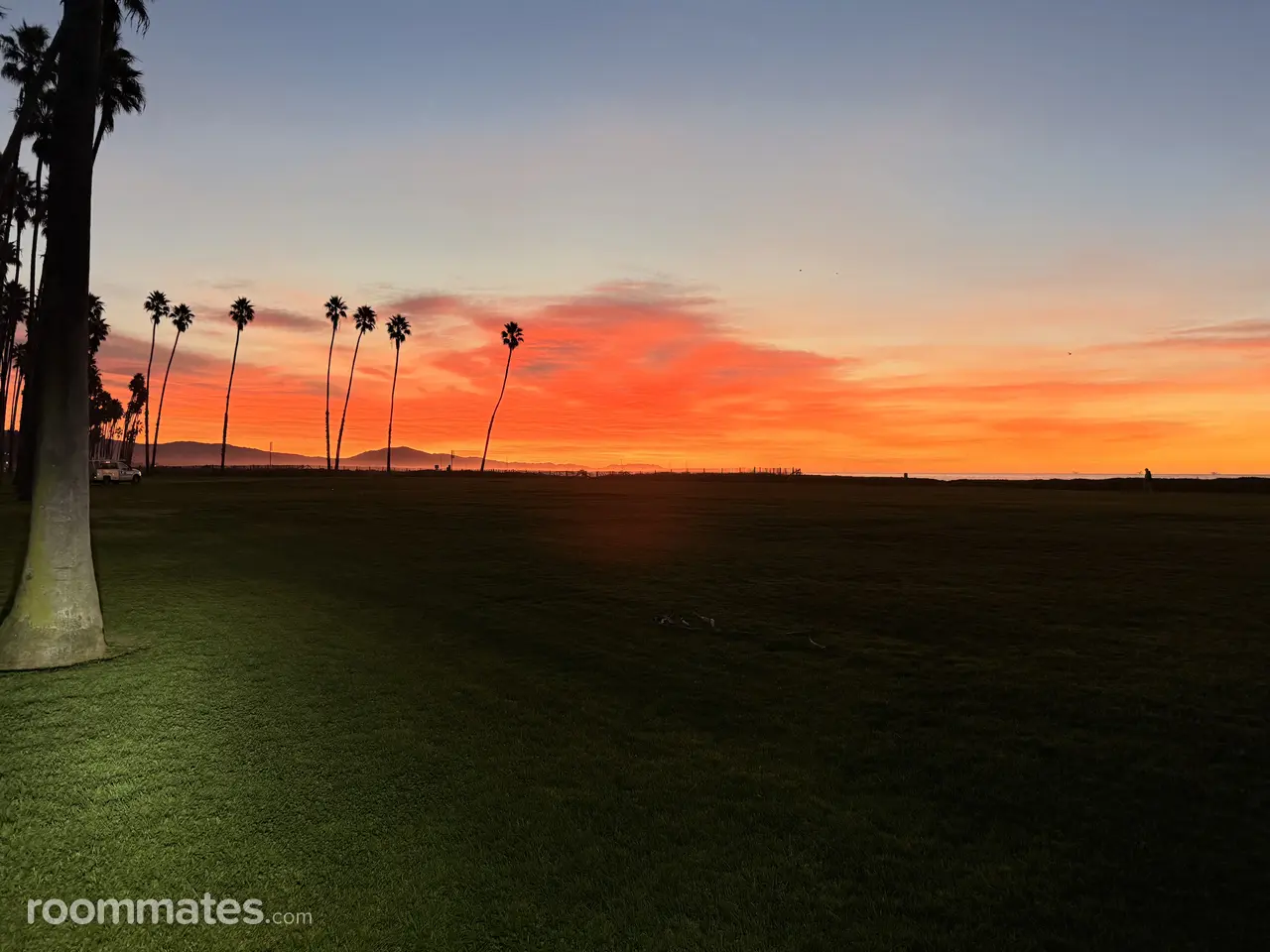 Profile photo 6 of 13