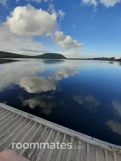 Roommate looking Colorado Springs, CO, $1000