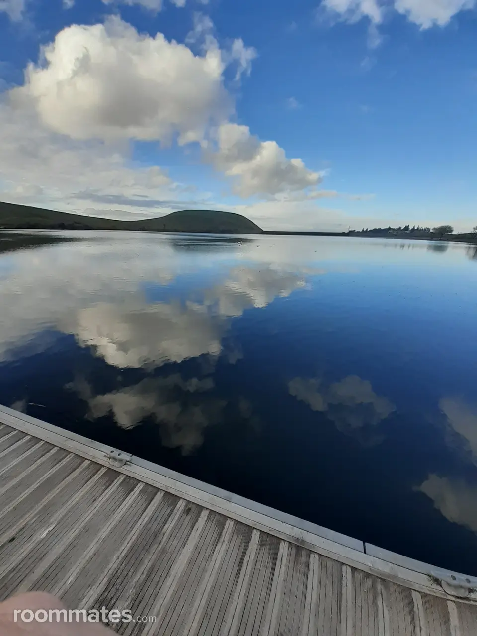 Profile photo 1 of 1