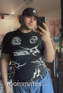 Roommate looking Fresno, CA, $700