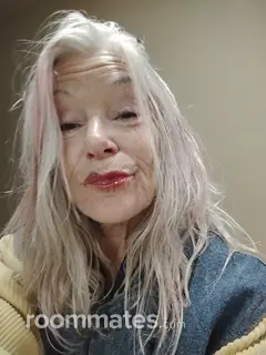 Roommate looking Reno Beach, OH, $600