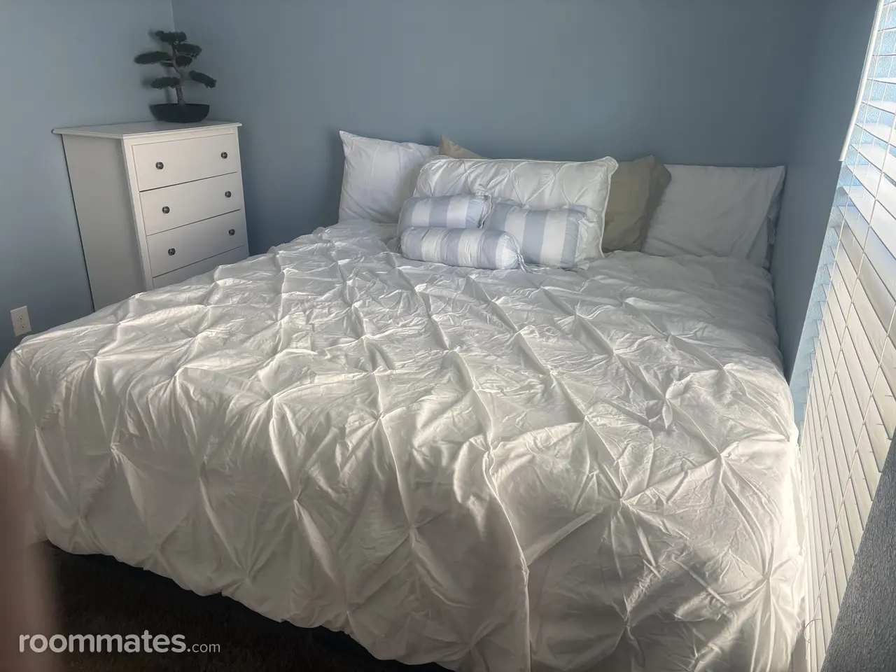 Profile photo 7 of 9