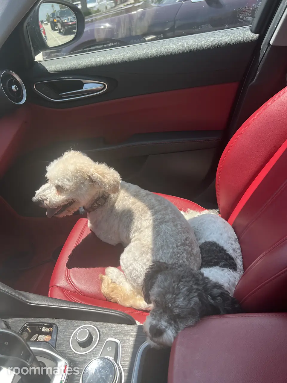 Profile photo 9 of 13