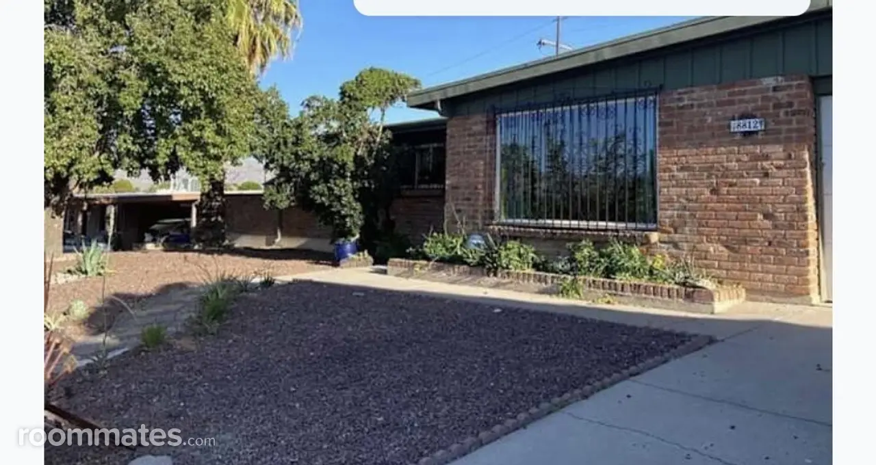 Profile photo 4 of 7