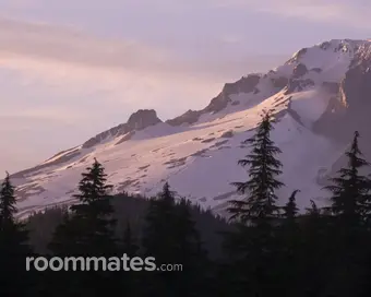 Roommate looking Beaverton, OR, $700