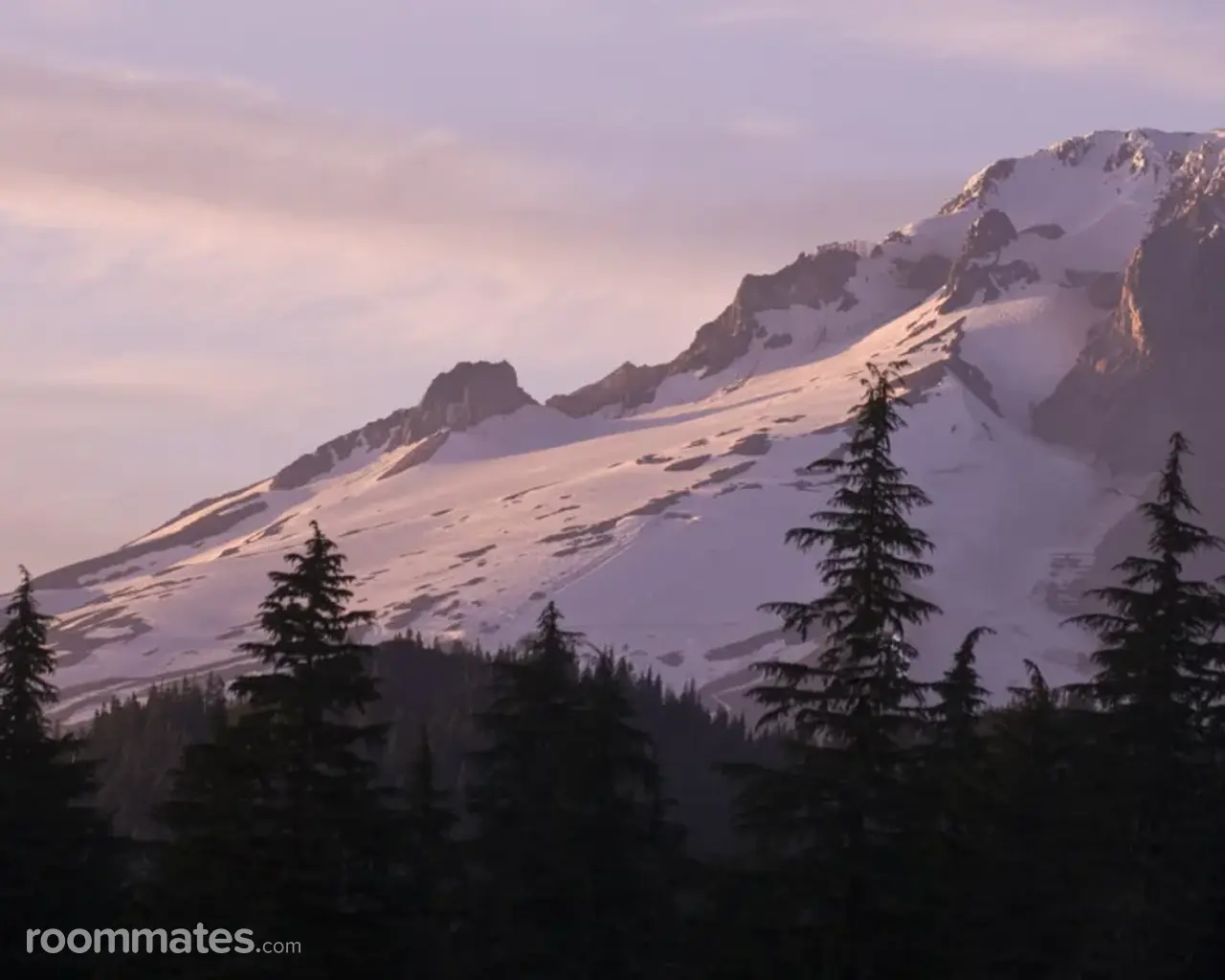 Profile photo 1 of 1