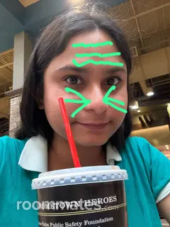 Roommate looking Chesapeake, VA, $1000