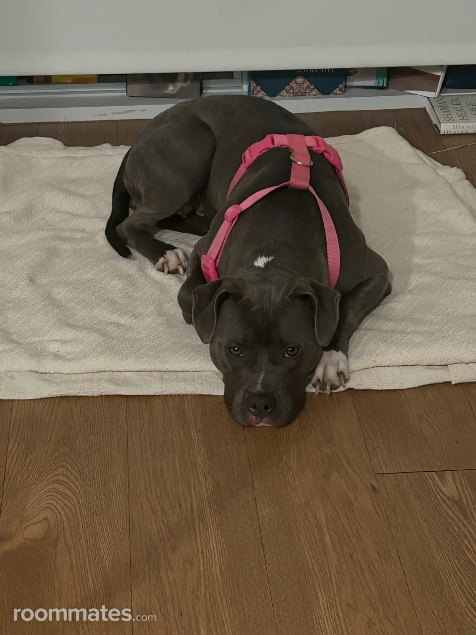 Profile photo 4 of 4