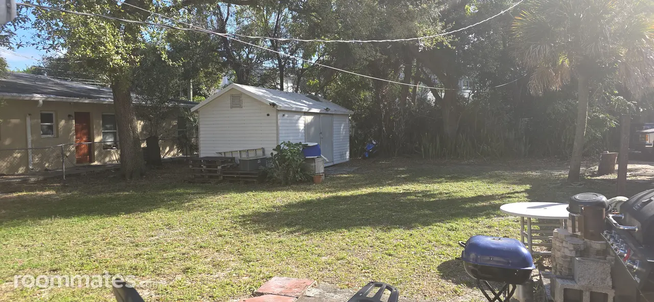 Profile photo 5 of 11