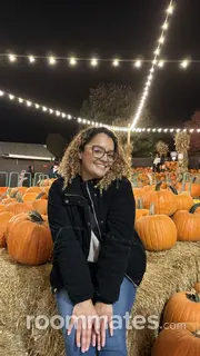 Roommate looking Chantilly, VA, $900