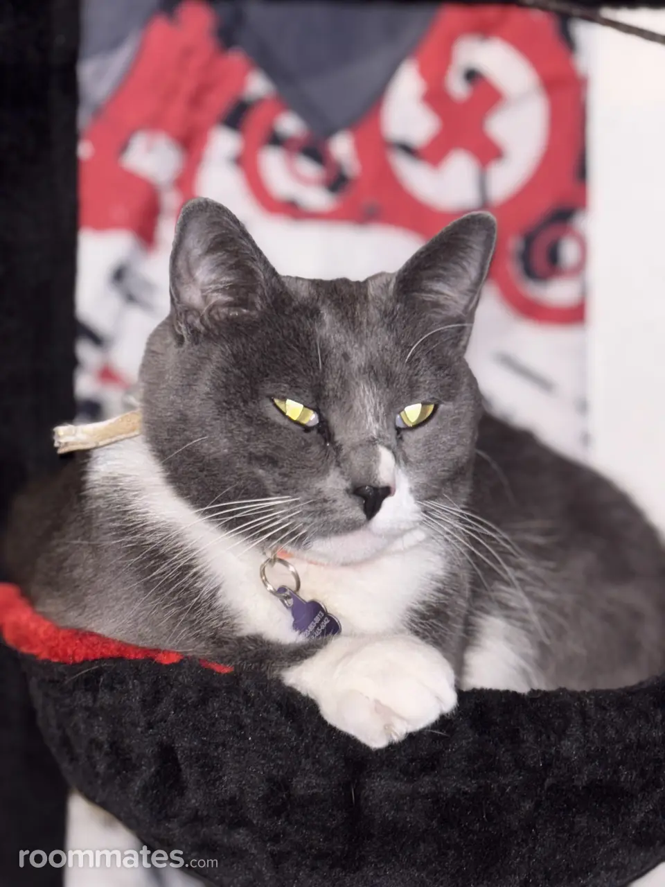 Profile photo 2 of 3