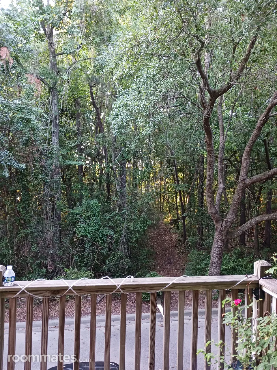 Profile photo 9 of 17