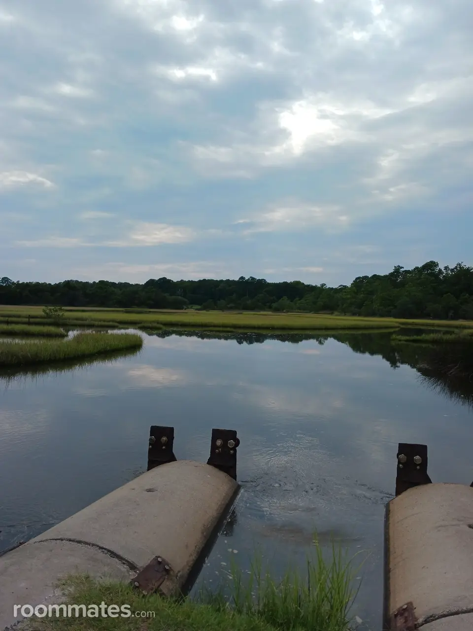 Profile photo 10 of 17