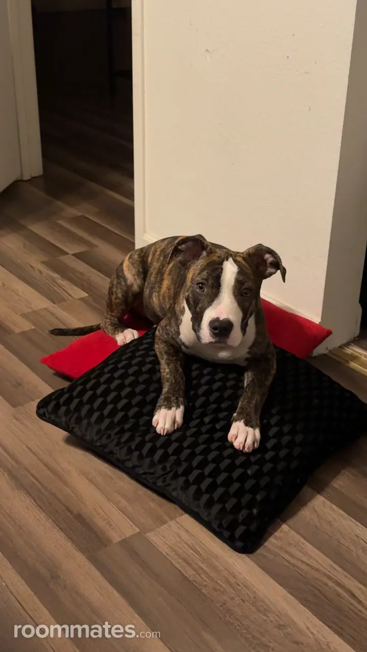 Profile photo 3 of 4