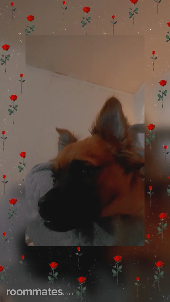 Profile photo 2 of 4