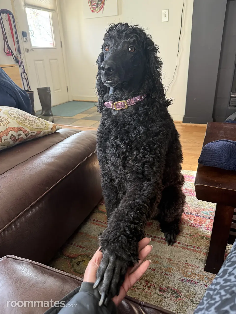 Profile photo 12 of 14