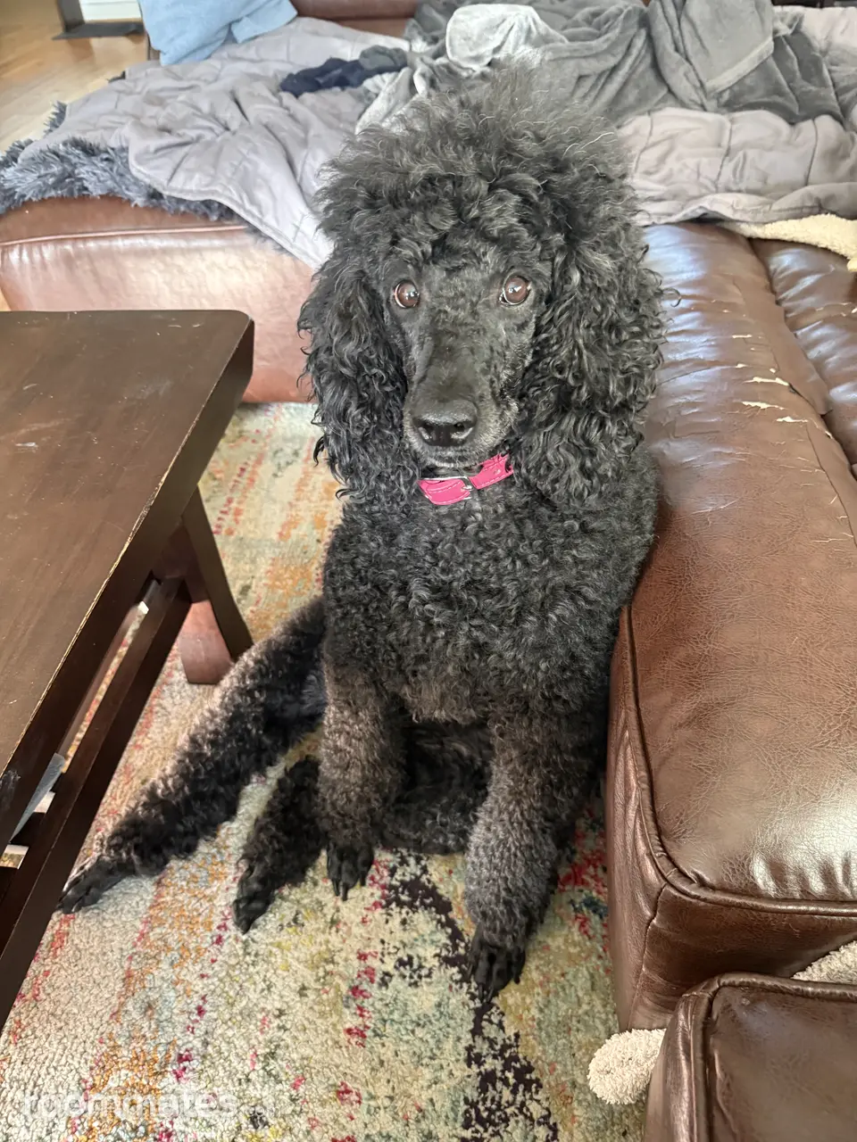 Profile photo 13 of 14