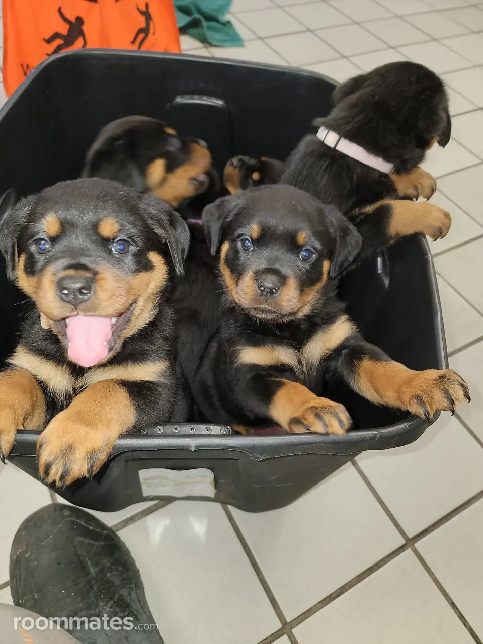 Profile photo 3 of 3