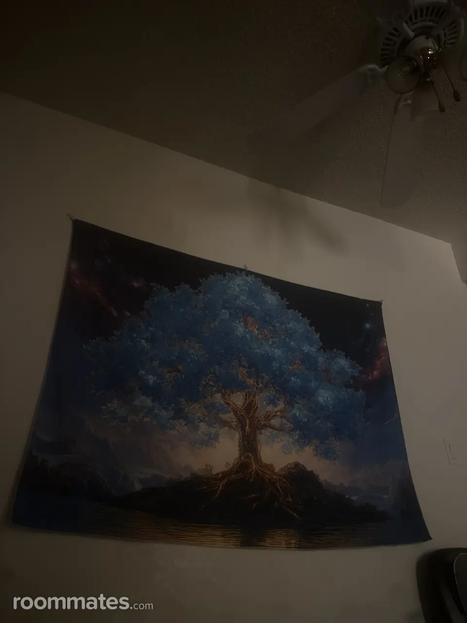 Profile photo 1 of 2