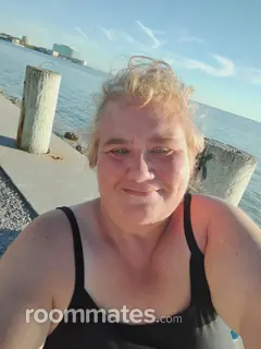 Roommate looking Zephyrhills, FL, $600