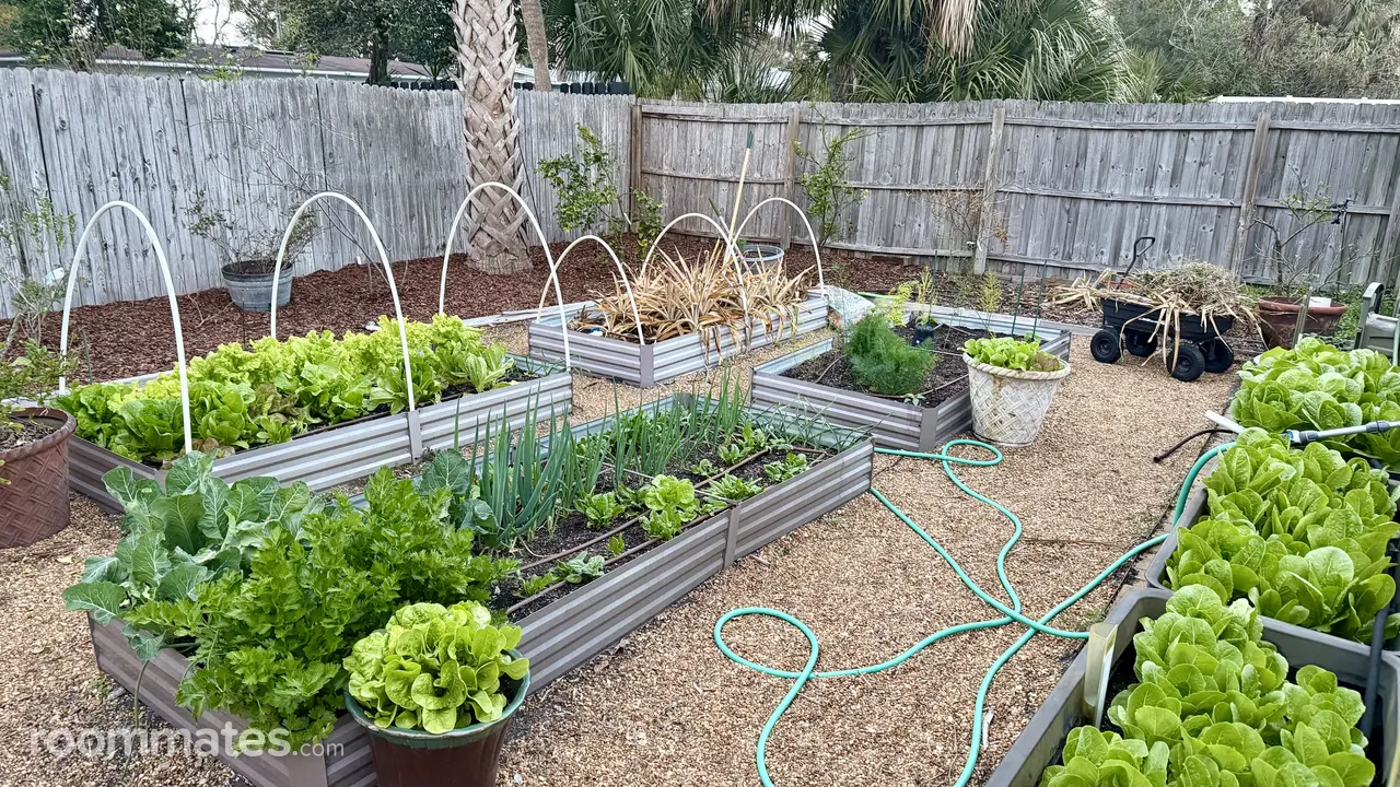 Profile photo 5 of 7