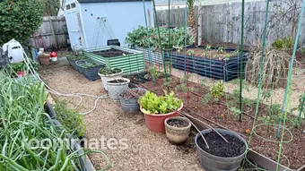 Room for rent in Jacksonville Beach, FL $1500, house