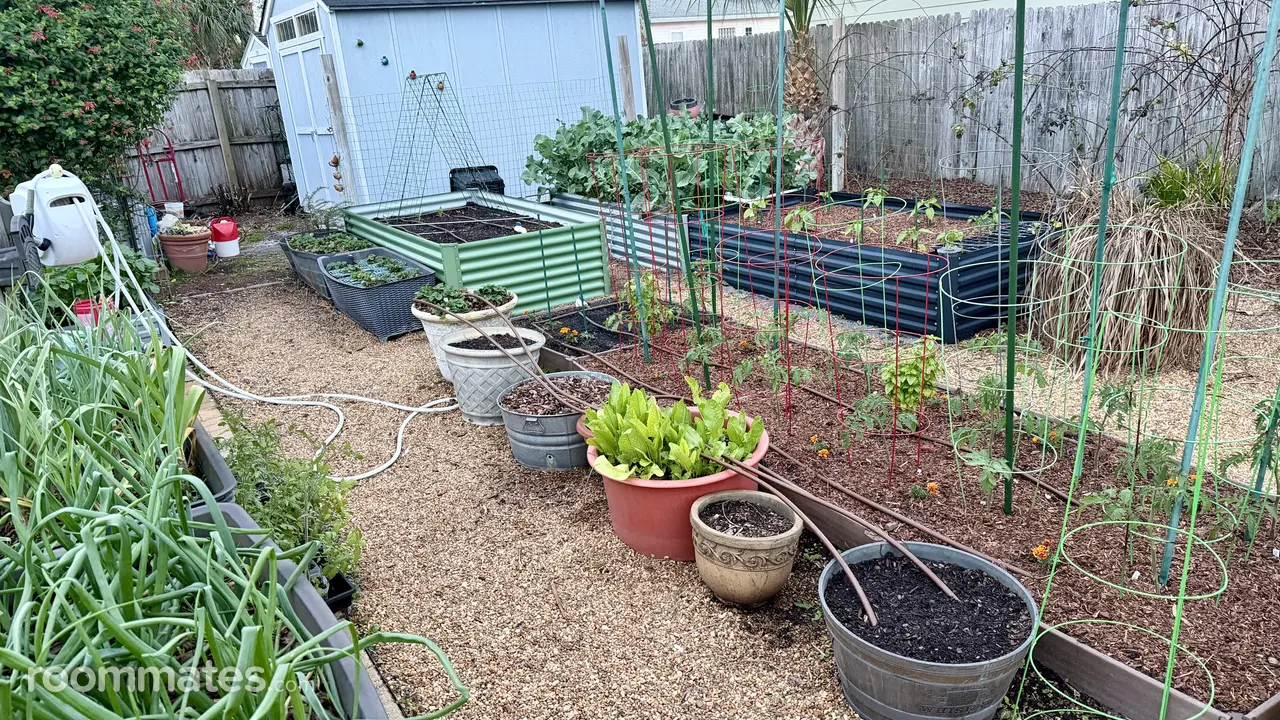 Profile photo 6 of 7