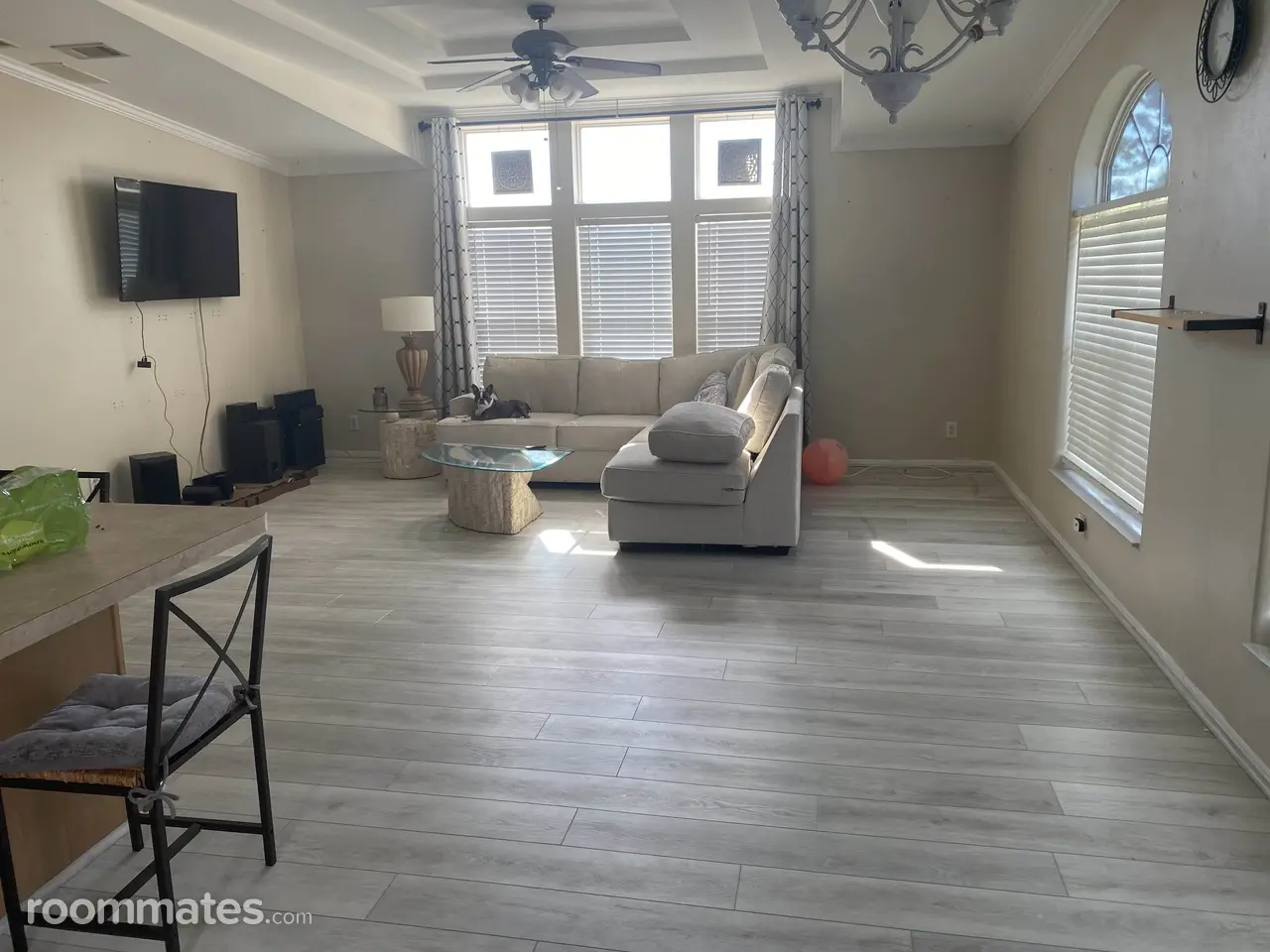 Profile photo 1 of 6