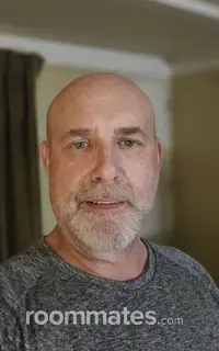 Roommate looking St. Louis, MO, $600