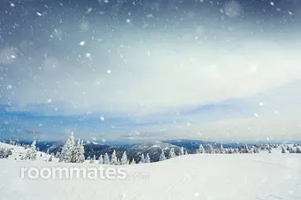 Roommate looking Menifee, CA, $1100