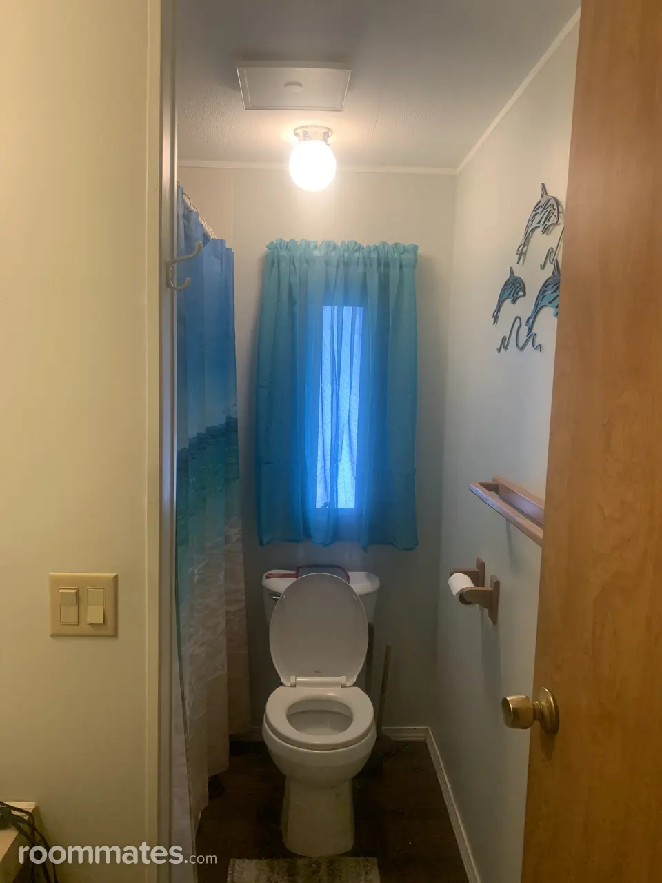 Profile photo 5 of 6