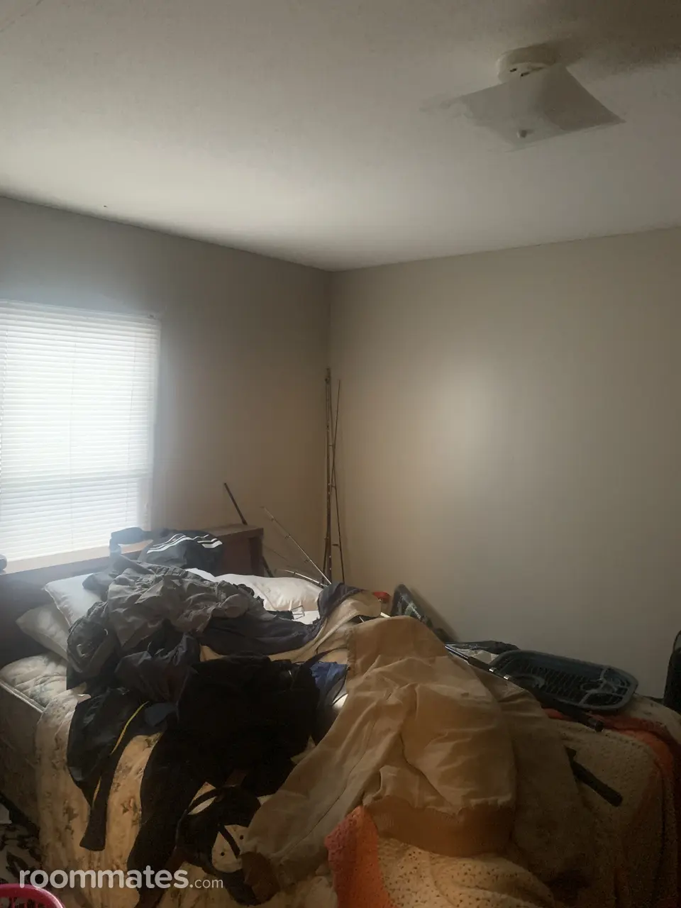 Profile photo 4 of 6